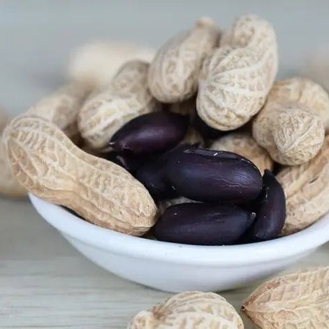 Black Peanut (कालो बादाम)