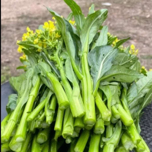 Choy Sum / Chinese Flowering Cabbage (चोय सम)