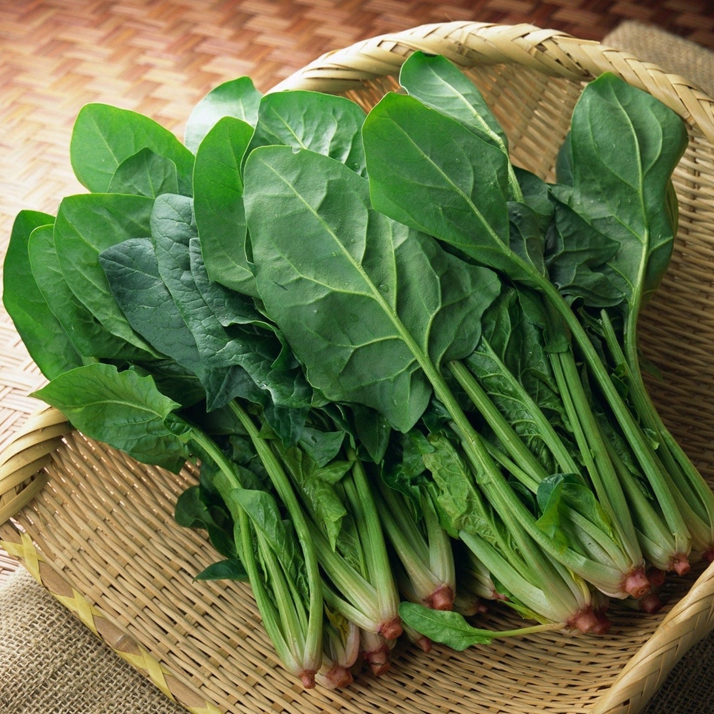 Spinach (पालक)