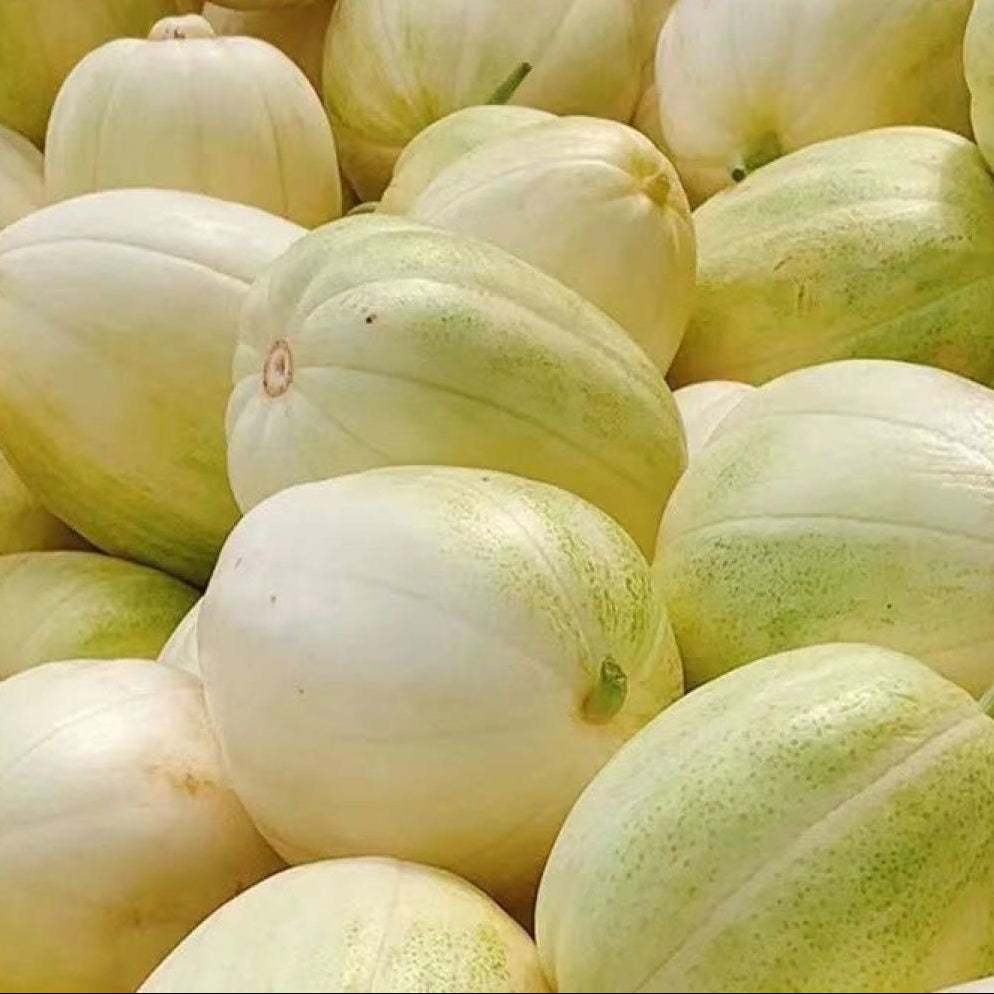 Tianfei Sweet Melon (तियानफेइ गुलियो खरबुजा)