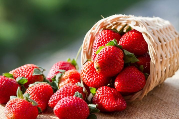 Strawberries (स्ट्रबेरी)