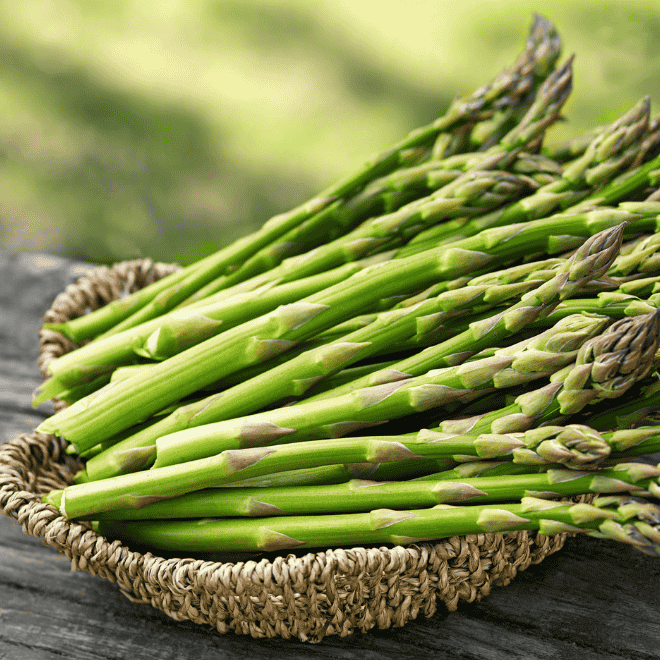 Green Asparagus (हरियो सतावरी)