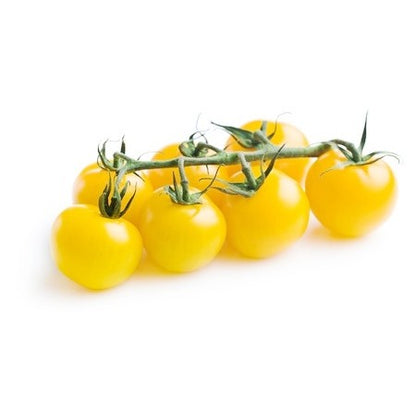 Milk Yellow Tomato (दूधे पहेंलो टमाटर)
