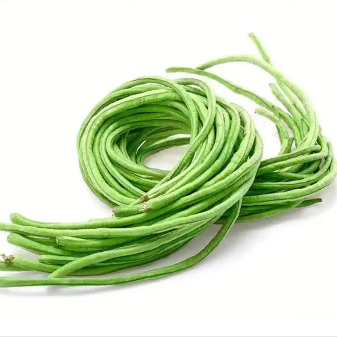 Yard Long Beans - Chinese Long Beans (लामो बोडी)