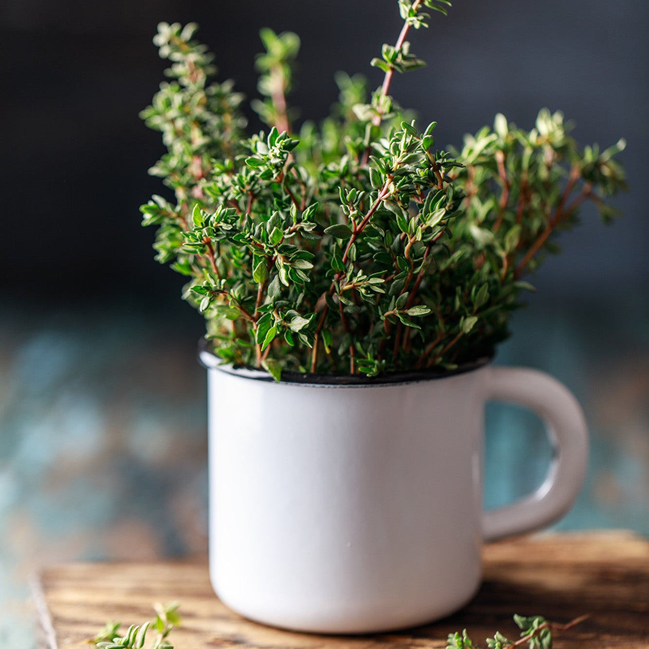 Thyme (थाइम)