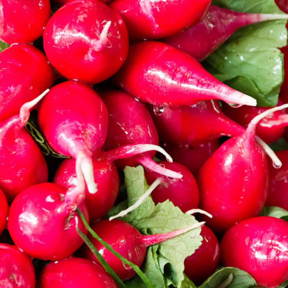 Cherry Radish (चेरी मूला)