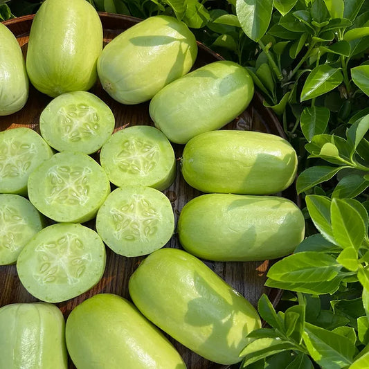 Jade Girl Cucumber (युवती काकड़ो)