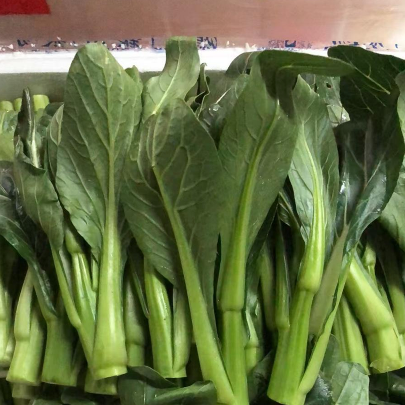 Choy Sum / Chinese Flowering Cabbage (चोय सम)