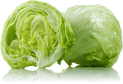 Iceberg Lettuce (गोल पाते साग)