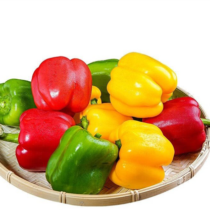 Colorful Sweet Bell Peppers (रङ्गीन गुलियो क्याप्सिकम)
