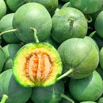 Sesame Honey Sweet Melon (तिल महको गुलियो खरबुजा)