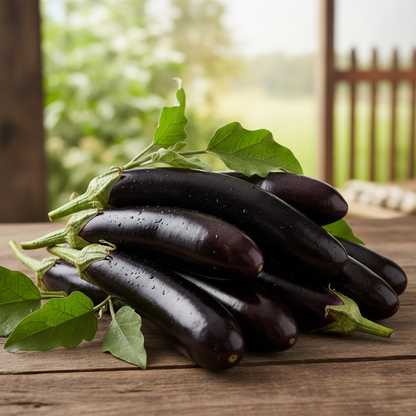 Black Glossy Long Eggplant - RUBY FARM