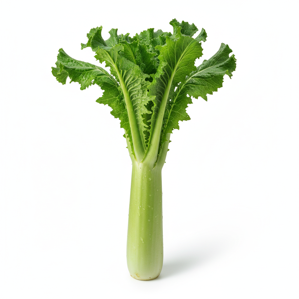 Fresh Green Celtuce stem lettuce - RUBY FARM