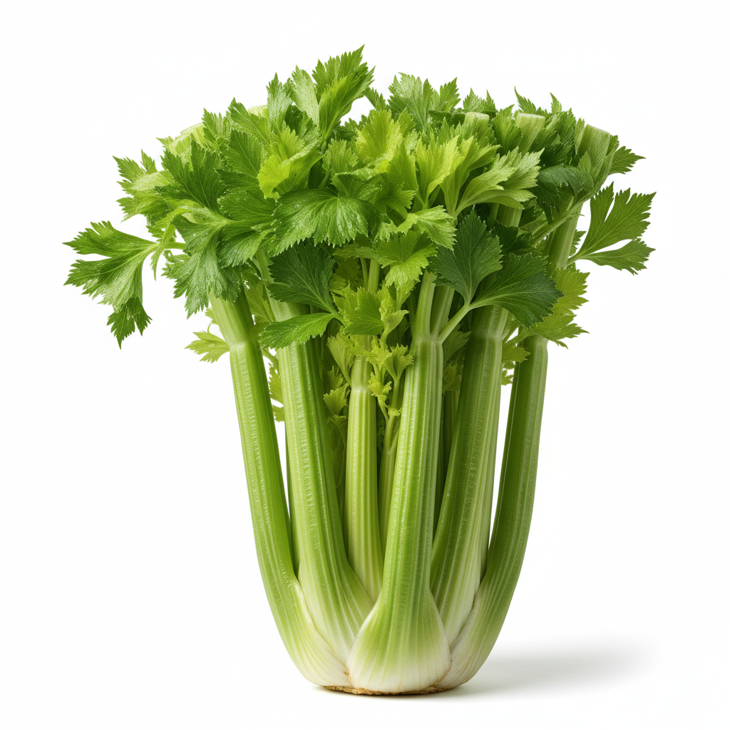 Fresh Western Celery stalks - RUBY FARM