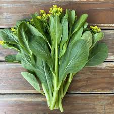 Choy Sum / Chinese Flowering Cabbage (चोय सम)