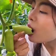 Jade Girl Cucumber (युवती काकड़ो)