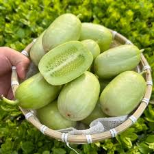 Jade Girl Cucumber (युवती काकड़ो)
