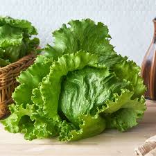 Iceberg Lettuce (गोल पाते साग)