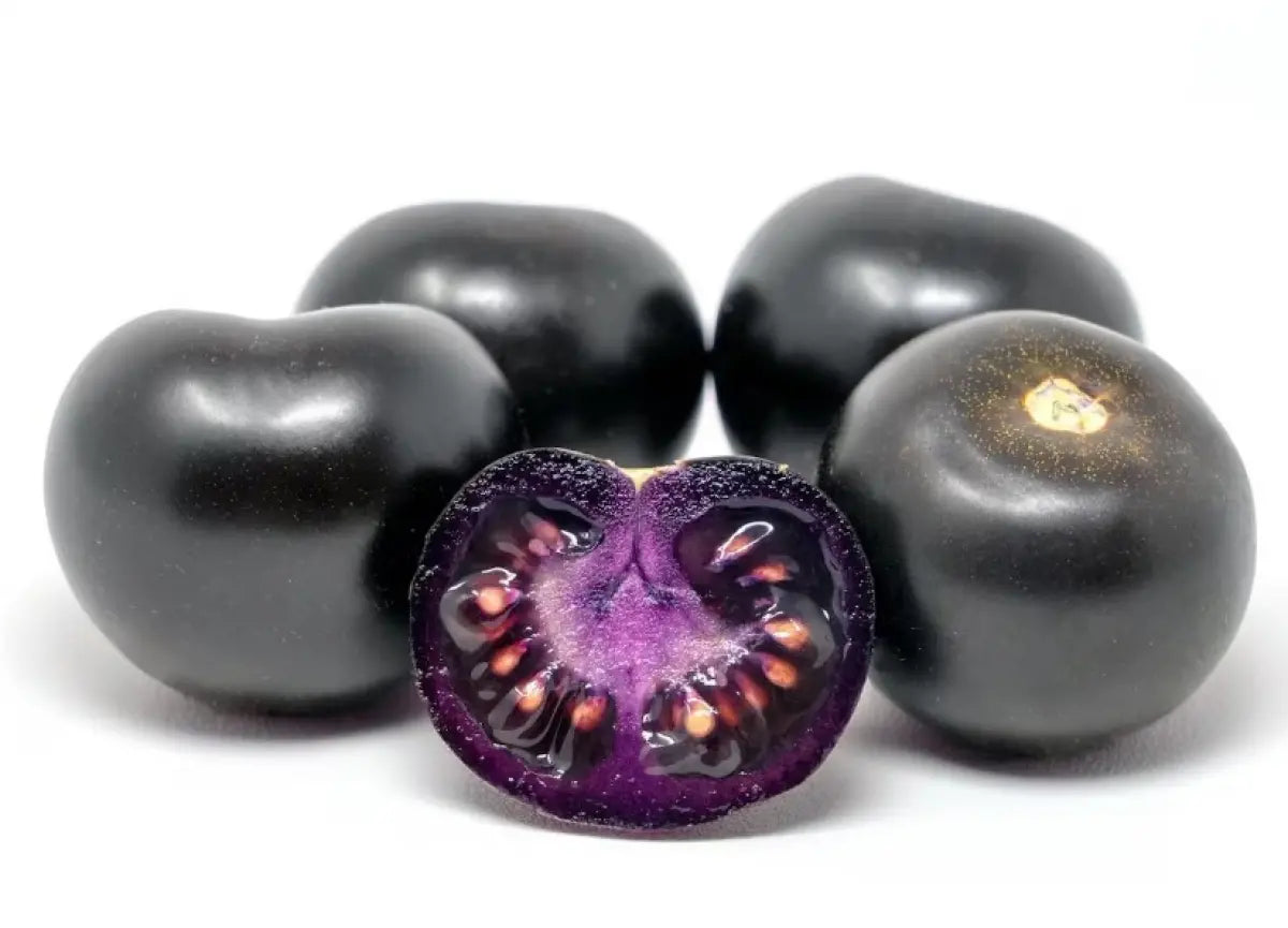 Purple Linglong Tomato (बैजनी लिङलोङ टमाटर)